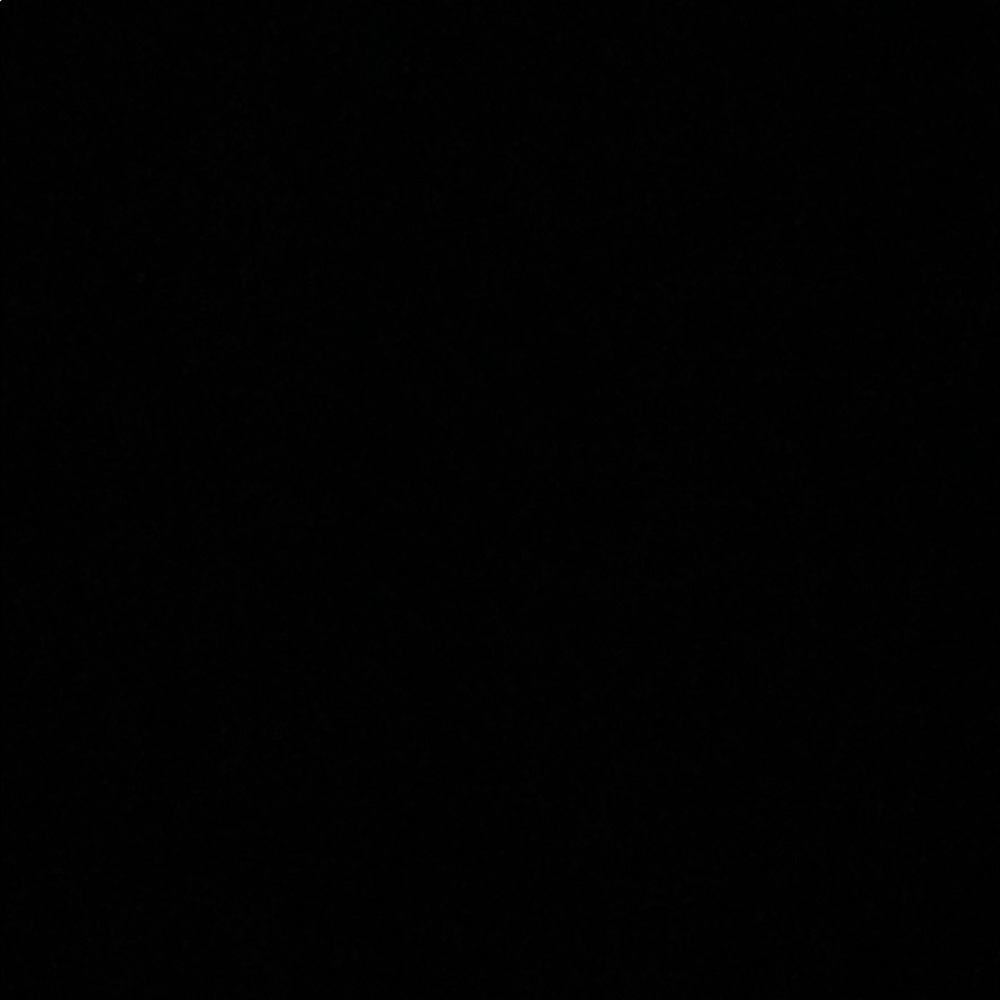 Meet your Posher, Isabella